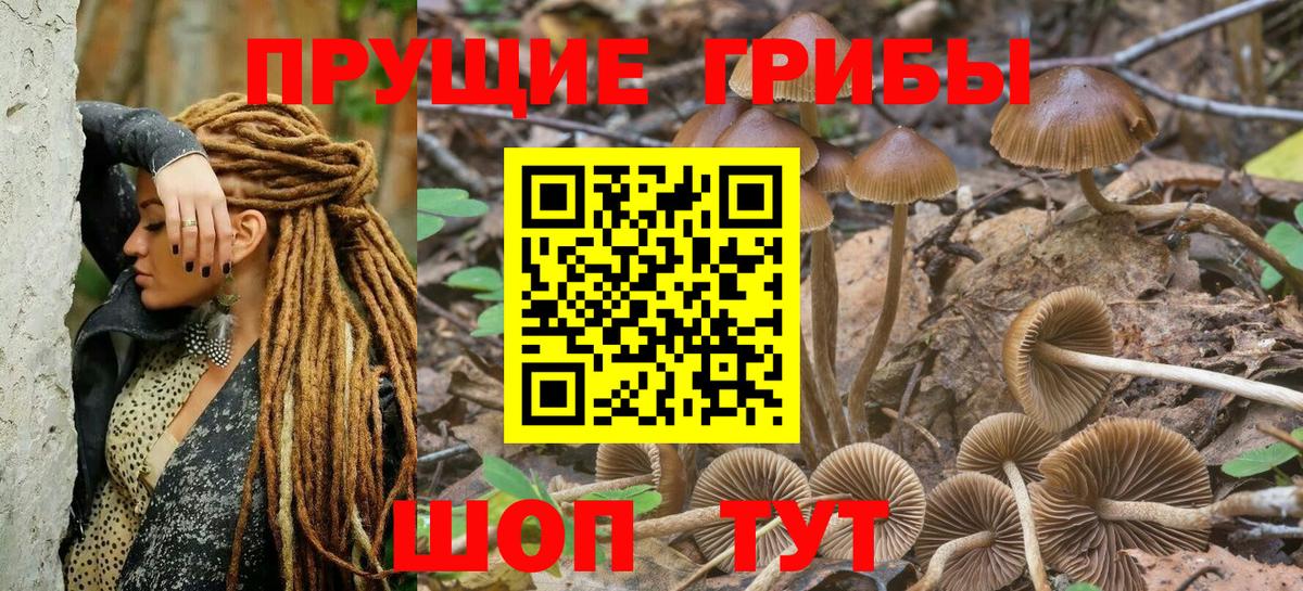 Галлюциногенные грибы Cubensis Тобольск